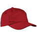 6 Panel Carbon Cap  Red / STD / Last Buy - Caps
