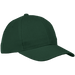 6 Panel Raven Cap Bottle / STD / Last Buy - Caps