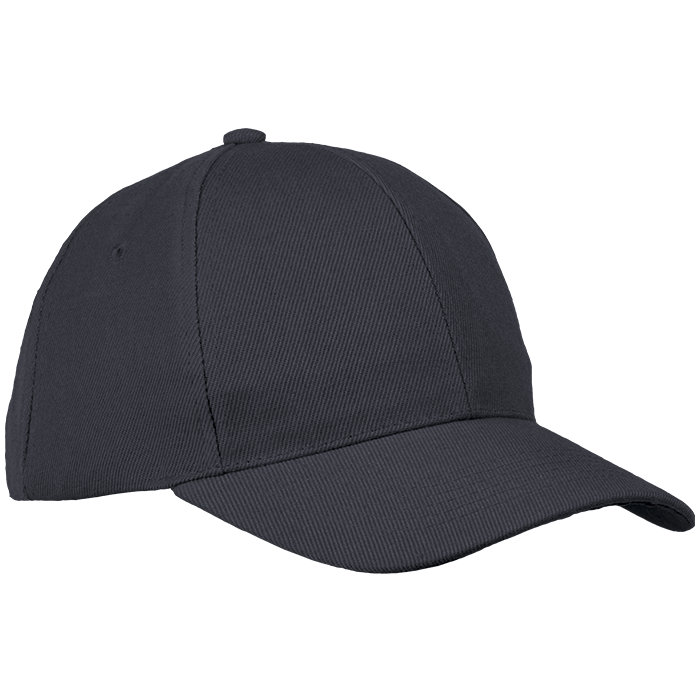 6 Panel Raven Cap  Black / STD / Regular - Caps