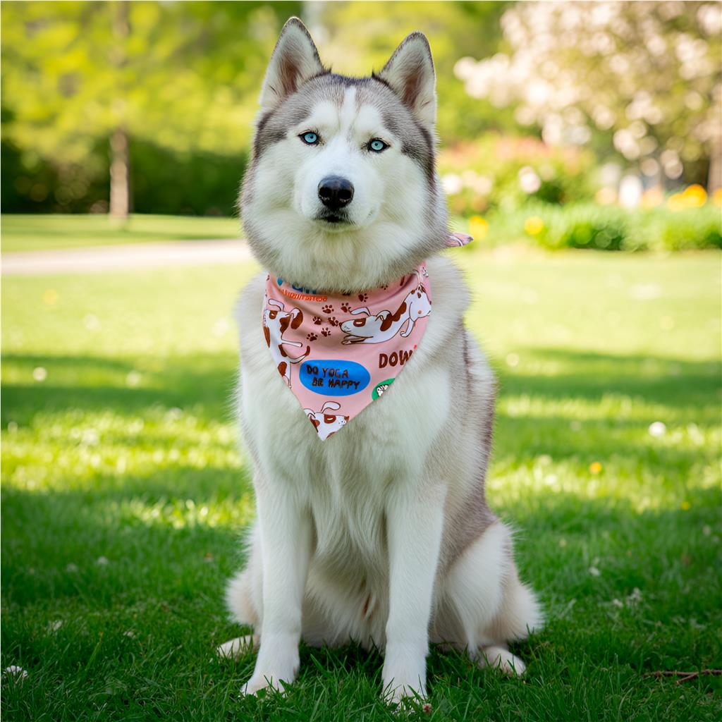 Custom Bosco Large Polyester Dog Bandana L / SOLID WHITE - Pet Accessories,Custom Accessories