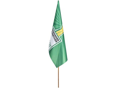 Champion Large Hand Flag 90cm x 60cm-