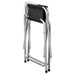 Coated Steel Directors Chair - Chairs
