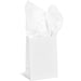 Gifting Tissue Paper - Pack of 10 Sheets