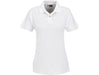 Ladies Boston Golf Shirt-