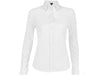 Ladies Long Sleeve Oxford Shirt - White Only-