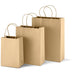 Large Eco-Friendly Paper Gift Bag Natural / NT - Bags