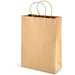 Large Eco-Friendly Paper Gift Bag Natural / NT - Bags