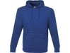 Mens Omega Hooded Sweater-