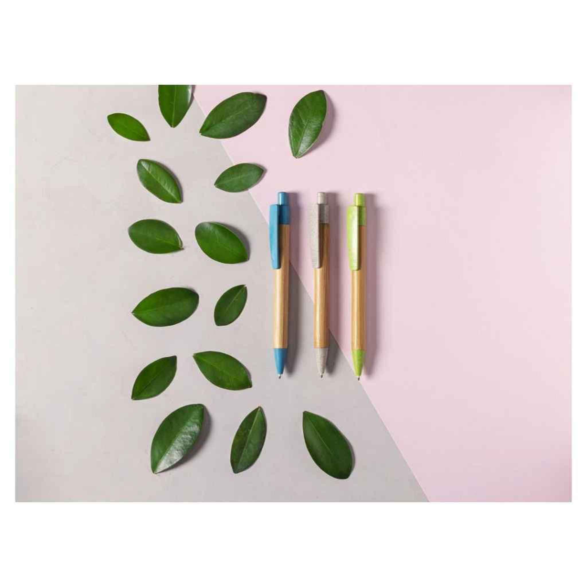 Bamboo Wheat Straw Pens in Eco-Neutral theme
