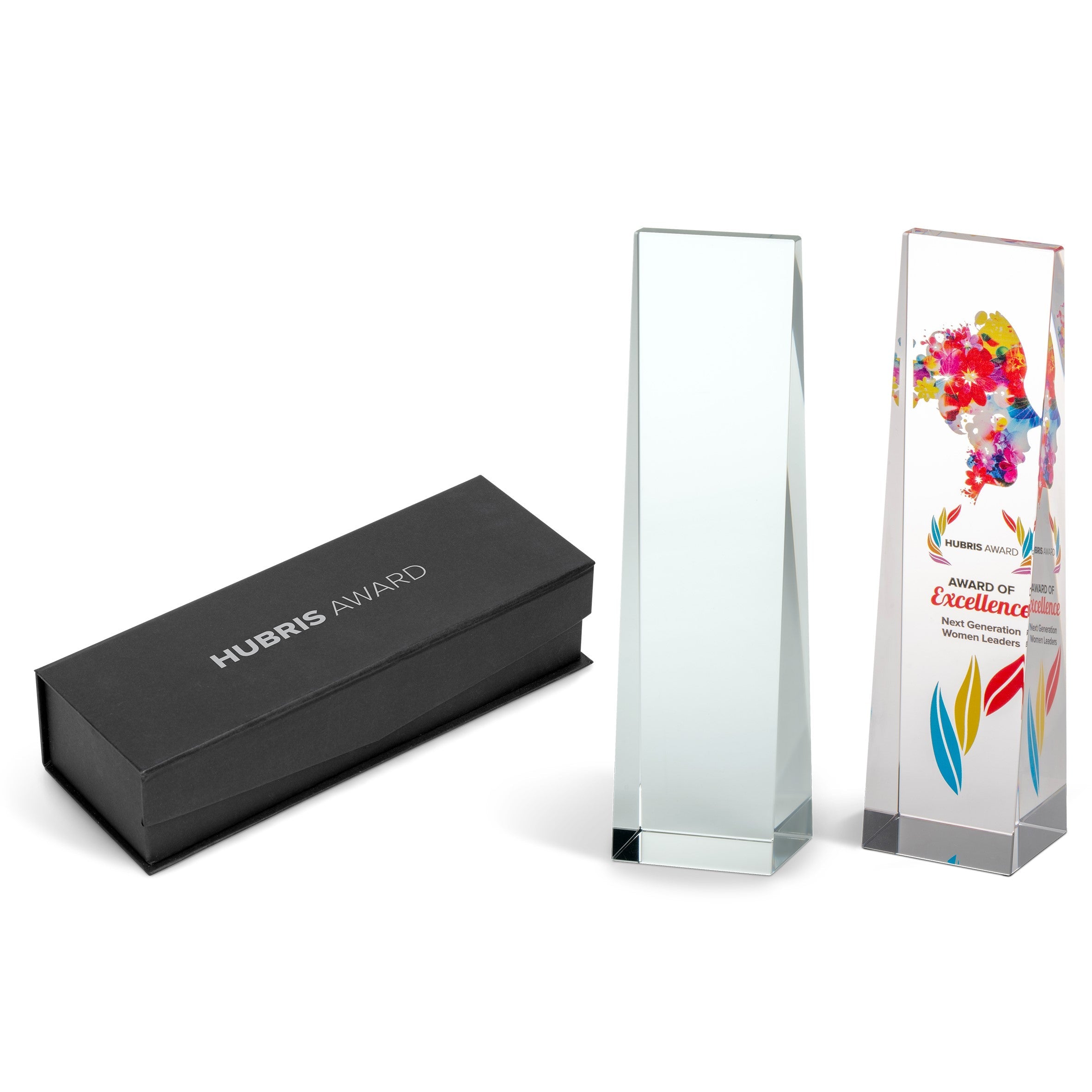 Hubris Award Transparent/Frosted White / T - Trophies