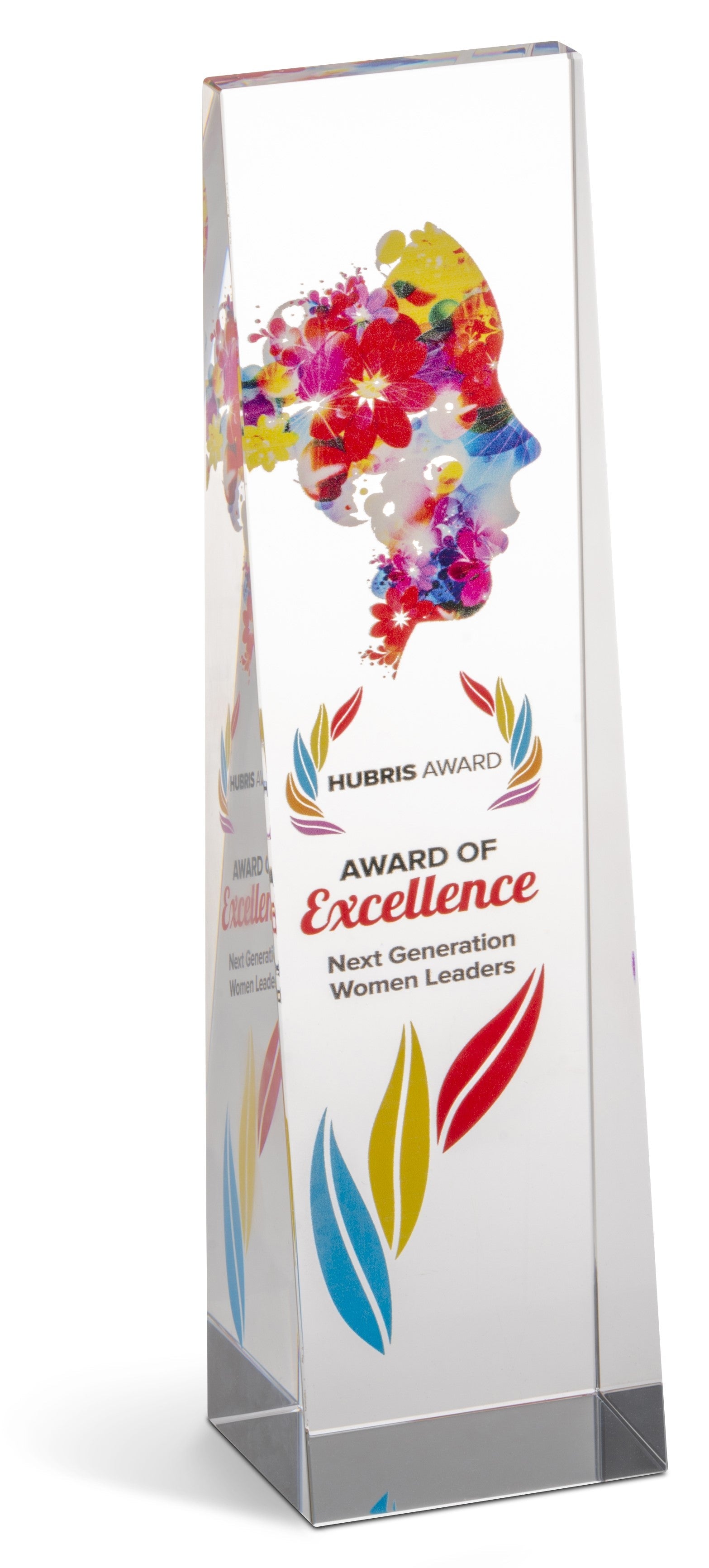 Hubris Award Transparent/Frosted White / T - Trophies