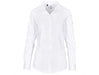 Ladies Long Sleeve Opus Stretch Shirt