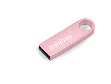 Vega Memory Stick - 16GB - Pink Only-